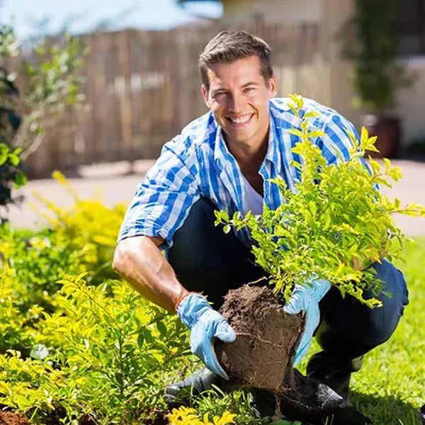 🔥Limited Sale - BUY 5 GET 5 FREE🔥Soil Improvement Loosening Agent