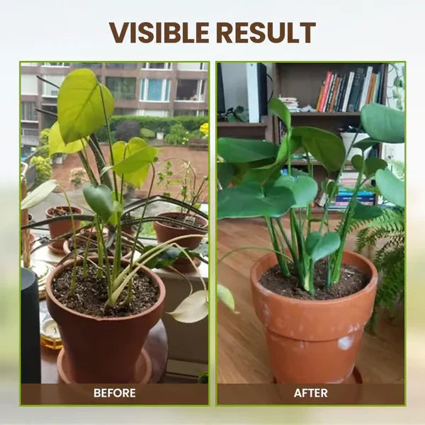 🔥Limited Sale - BUY 5 GET 5 FREE🔥Soil Improvement Loosening Agent